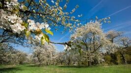 Jaro Český ráj LK